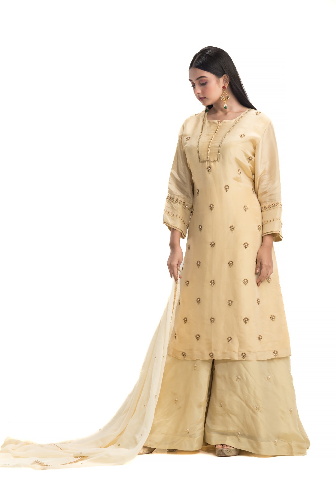 Beige Sharara Set with Minimalist Zardosi and Sequin Embroidery