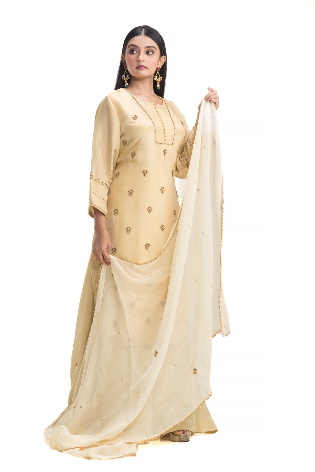 Beige Sharara Set with Minimalist Zardosi and Sequin Embroidery