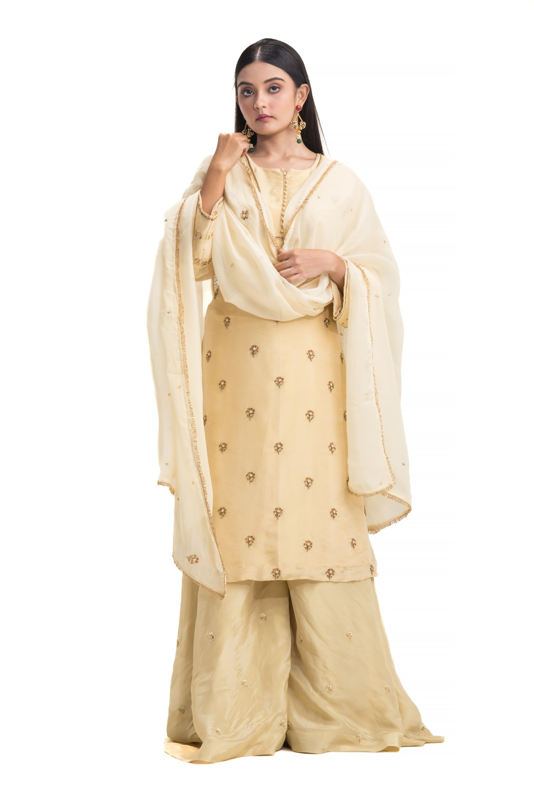 Beige Sharara Set with Minimalist Zardosi and Sequin Embroidery